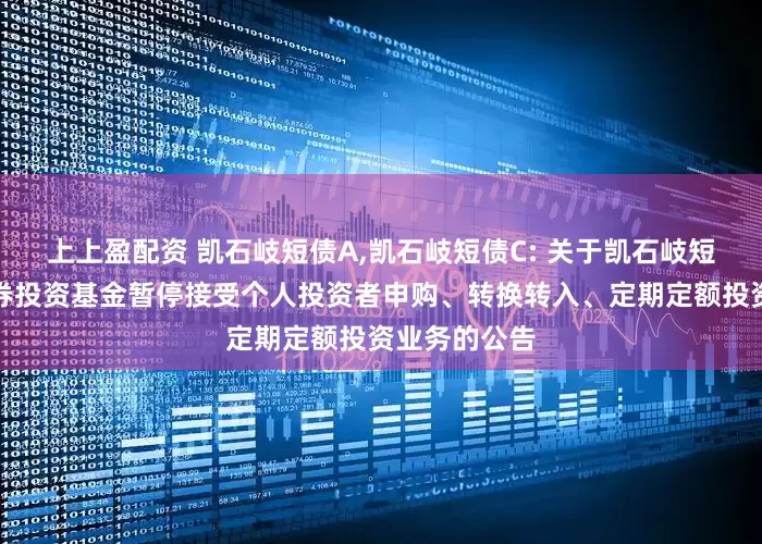 上上盈配资 凯石岐短债A,凯石岐短债C: 关于凯石岐短债债券型证券投资基金暂停接受个人投资者申购、转换转入、定期定额投资业务的公告